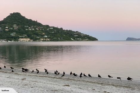 Photo of property in 23 Manaia Road, Tairua, 3508