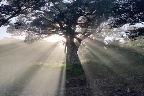 Photo of property in 448 Katui Road, Donnellys Crossing, Dargaville, 0379