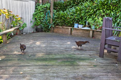 Photo of property in 3 Kuaka Lane, Waiotahe, Opotiki, 3198