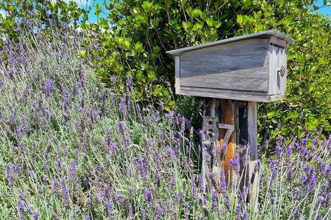 Photo of property in 57 Hauraki Road, Leigh, Warkworth, 0985