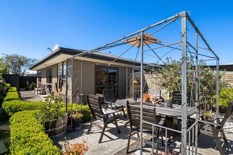 Photo of property in 16b Pitchill Street, Mayfield, Blenheim, 7201