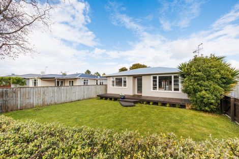 Photo of property in 19 Salisbury Avenue, Terrace End, Palmerston North, 4410