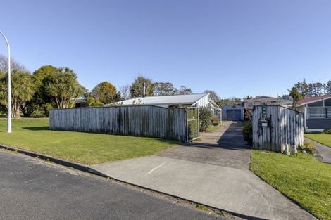 Photo of property in 8 Konini Street, Inglewood, 4330