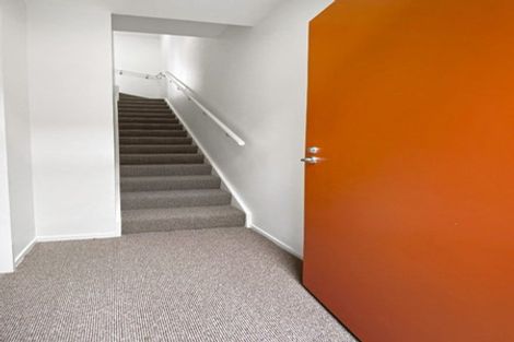 Photo of property in Aniva Terrace, 17 Arney Street, Newtown, Wellington, 6021