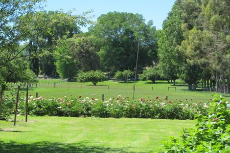 Photo of property in 569 Dunstan Road, Alexandra, 9391