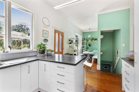 Photo of property in 60 Norway Street, Aro Valley, Wellington, 6012