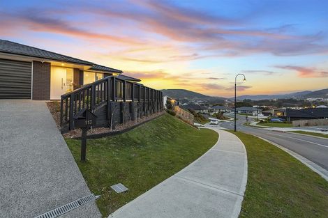 Photo of property in 113 John Burke Drive, Aotea, Porirua, 5024
