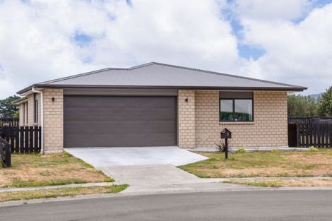 Photo of property in 3 Mckerrow Place, Featherston, 5710