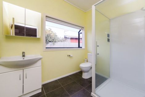 Photo of property in 87 Wyndham Street, Ashhurst, 4810