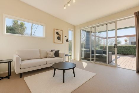 Photo of property in 22 Dorset Street, Richmond, 7020