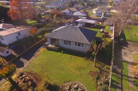 Photo of property in 103 Buckland Street, Putaruru, 3411