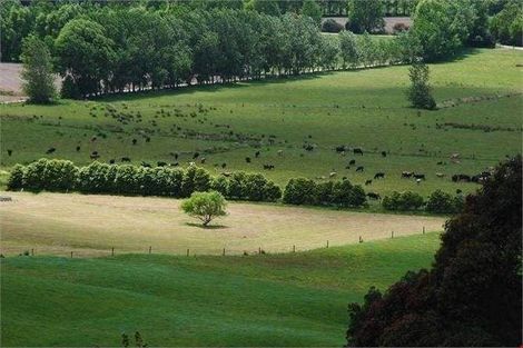 Photo of property in 9 Te Arai Point Road, Te Arai, Wellsford, 0975