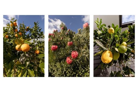 Photo of property in 134 Margaret Drive, Omokoroa, 3114