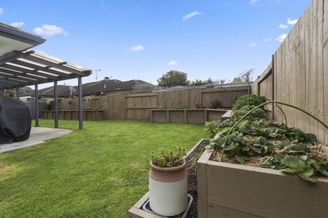 Photo of property in 82 Sterling Gate Drive, Bethlehem, Tauranga, 3110