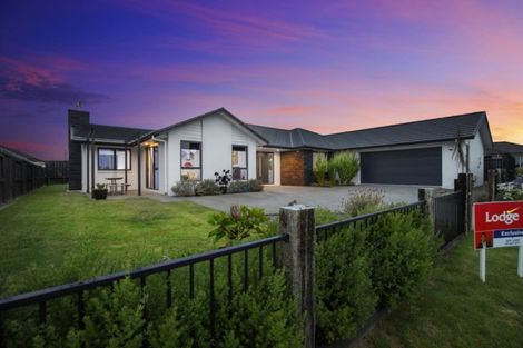 Photo of property in 9 Audrey Place, Flagstaff, Hamilton, 3210