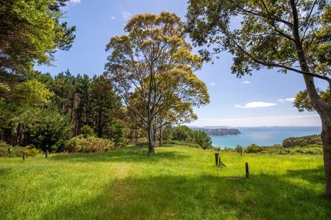 Photo of property in 425m Boat Harbour Road, Whenuakite, Whitianga, 3591