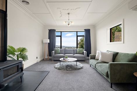 Photo of property in 20 Gilmore Street, Wakari, Dunedin, 9010