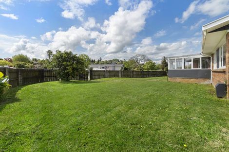 Photo of property in 6 Maple Avenue, Dinsdale, Hamilton, 3204