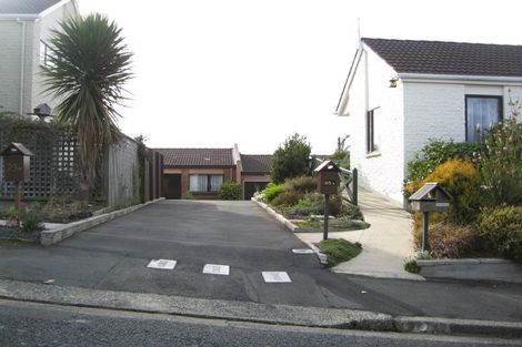 Photo of property in 25b Sheen Street, Roslyn, Dunedin, 9010