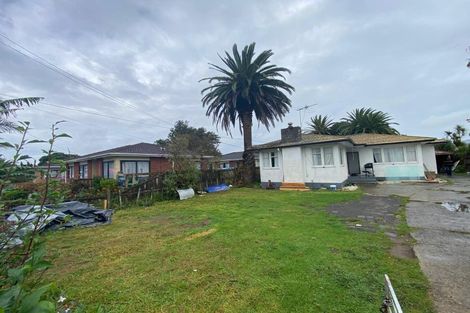 Photo of property in 123 Favona Road, Favona, Auckland, 2024