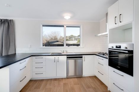 Photo of property in 60 Fitzroy Avenue, Fitzroy, Hamilton, 3206