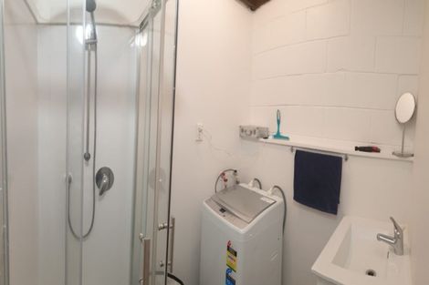 Photo of property in 129 Constable Street, Newtown, Wellington, 6021