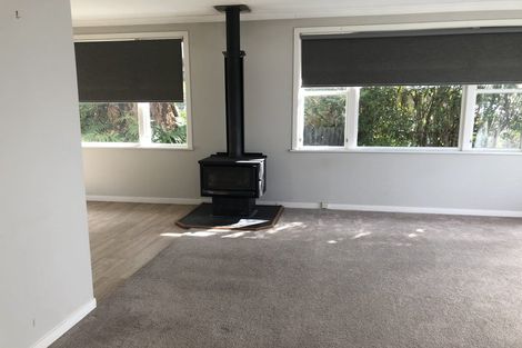 Photo of property in 60 Wakeman Street, Pahiatua, 4910