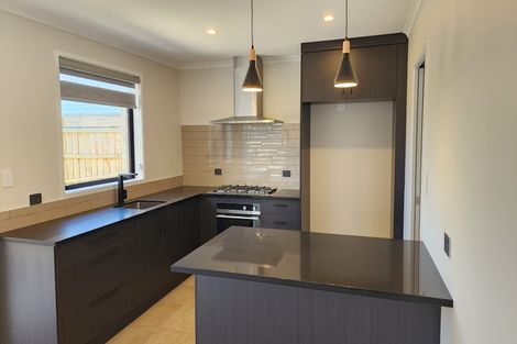 Photo of property in 114b Lisle Farm Drive, Pukekohe, 2120