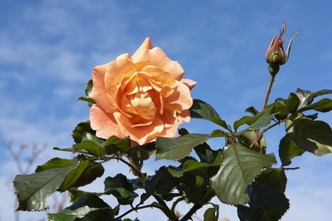 Photo of property in 346 Clifton Road, Whitford, Howick, 2571