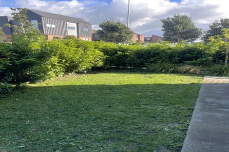 Photo of property in 63 Wallace Road, Hobsonville, Auckland, 0616