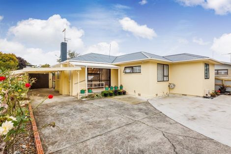 Photo of property in 43 Richmond Avenue, Takaro, Palmerston North, 4410