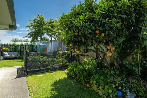 Photo of property in 20 Ward Street, Springlands, Blenheim, 7201