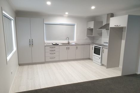 Photo of property in 67a York Street, Hamilton East, Hamilton, 3216