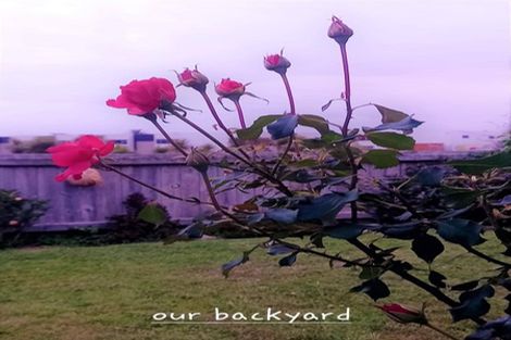 Photo of property in 11 Westhill Lane, Papamoa Beach, Papamoa, 3118