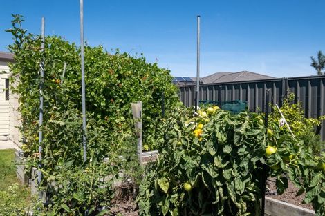 Photo of property in 15 Lochhead Street, Mahora, Hastings, 4120