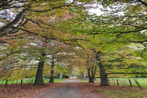 Photo of property in 475 State Highway 16, Kumeu, 0892