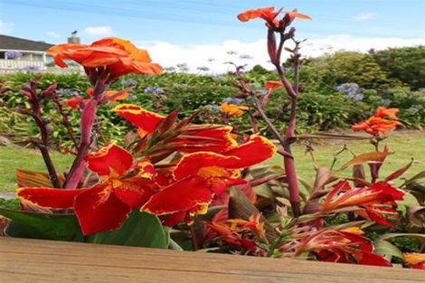 Photo of property in 78 Russell Road, Huntly, 3700