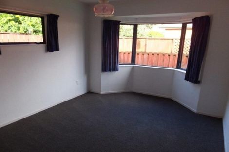 Photo of property in 74 Clarkin Road, Fairfield, Hamilton, 3214