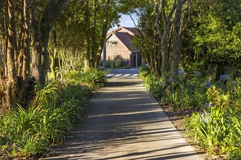 Photo of property in 236a Tim Road, Whakamarama, Tauranga, 3180