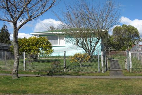 Photo of property in 21 Maria Place, Turangi, 3334