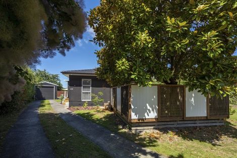 Photo of property in 17 Irwin Place, Kinloch, Taupo, 3377