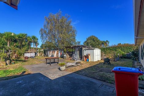 Photo of property in 250 Foxton Shannon Road, Foxton, 4893