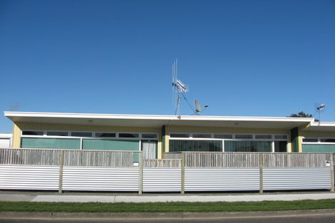 Photo of property in 2 Bledisloe Street, Levin, 5510