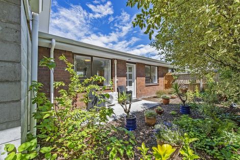 Photo of property in 2/88 Bishop Street, St Albans, Christchurch, 8014