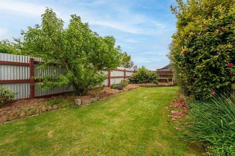Photo of property in 6 Moorhouse Street, Waimate, 7924