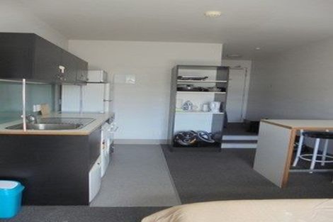 Photo of property in Urbane Apartments, 13/29 Webb Street, Mount Cook, Wellington, 6011