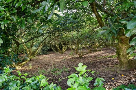 Photo of property in 91 Morton Road, Aongatete, Katikati, 3181