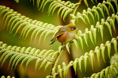 Photo of property in 34 Ngahere Street, Stokes Valley, Lower Hutt, 5019