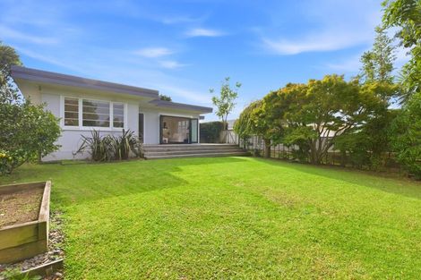 Photo of property in 41 Rimu Street, Gate Pa, Tauranga, 3112