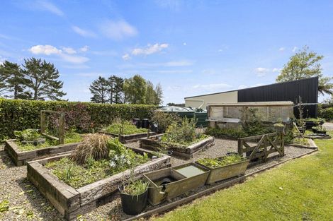 Photo of property in 124 Lower King Road, Tarurutangi, New Plymouth, 4372